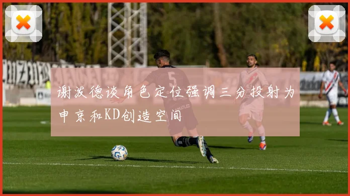 谢泼德谈角色定位强调三分投射为申京和KD创造空间