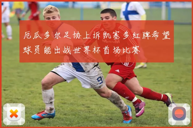 厄瓜多尔足协上诉凯塞多红牌希望球员能出战世界杯首场比赛