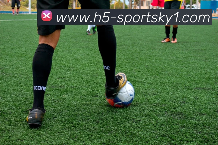 开云体育APP 体育赛事宣传图